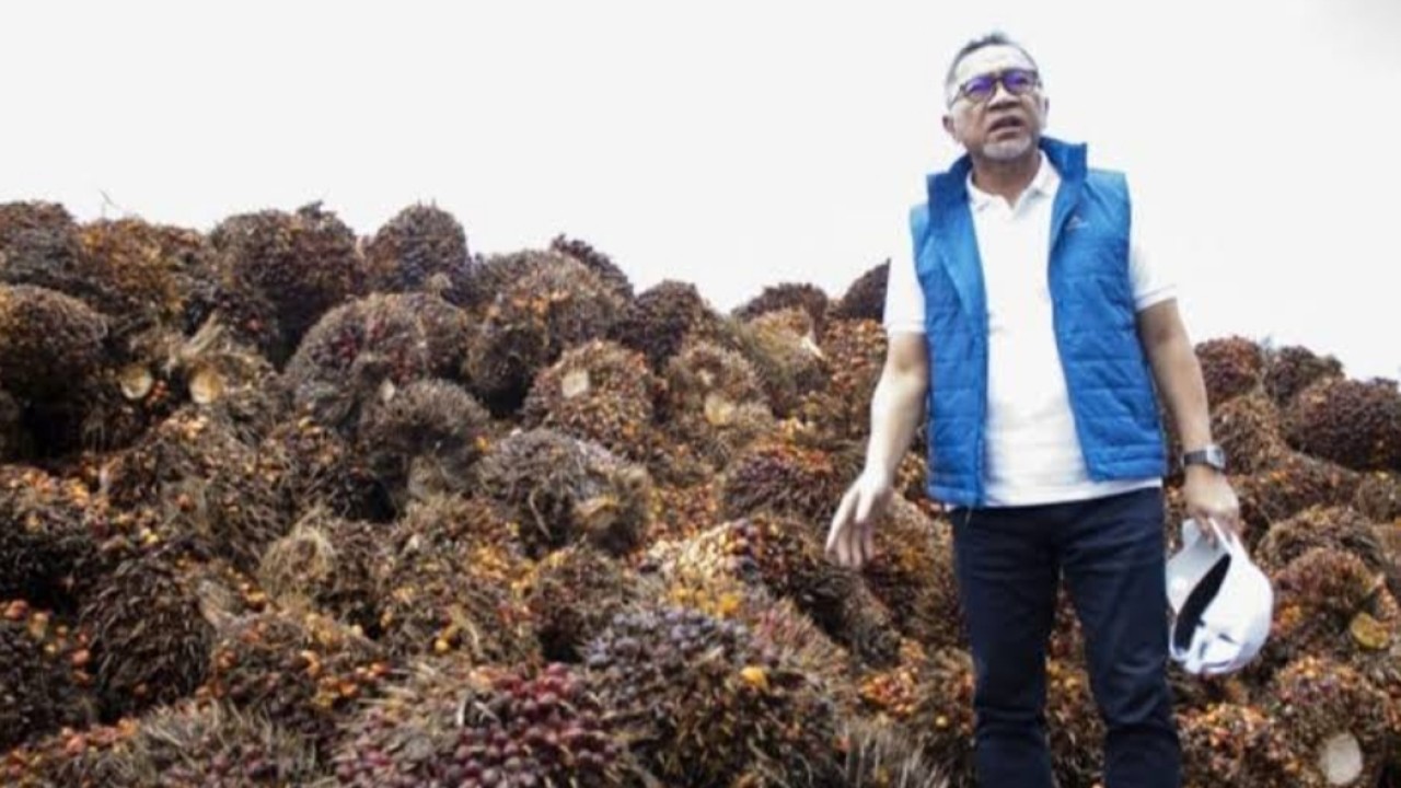 Mendag Zulhas berada diantara tumpukan Tandan Buah Segar (TBS) kelapa sawit yang harganya anjlok hingga level terendah/net