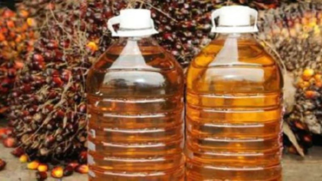 Ilustrasi. Minyak sawit mentah. (Istimewa/Net)