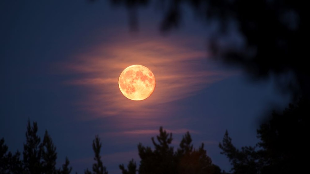 Supermoon terakhir di tahun 2022 berlangsung pada 12 Agustus. (Dag Sundberg via Getty Images)
