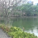 Telkom University-1660559346