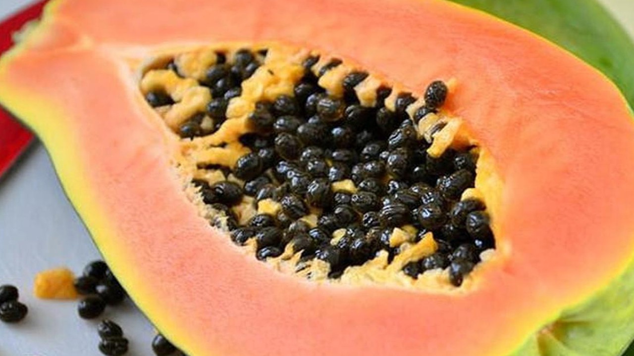 Biji buah Pepaya
