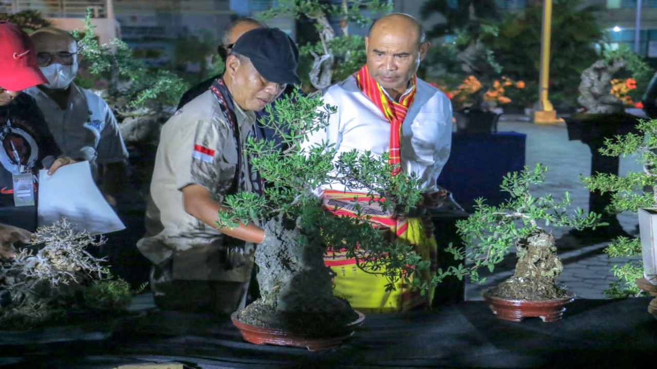 Gubernur NTT, Viktor Bungtilu Laiskodat (VBL) saat melakukan kunjungan ke Festival dan Kontes Bonsai NTT Tahun 2022 di Halaman Depan Gedung Sasando Kantor Gubernur Provinsi NTT, Jumat (16/09/2022). Foto (Istimewa)