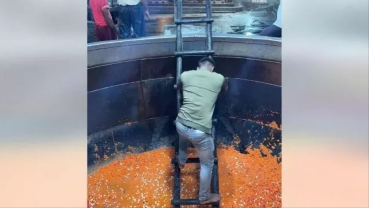 Orang menggunakan tangga saat masak menu raksasa/net