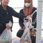 Puan-1663803947