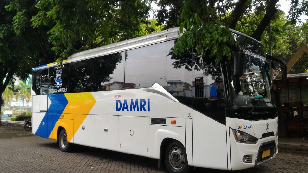 Bus Damri /ist