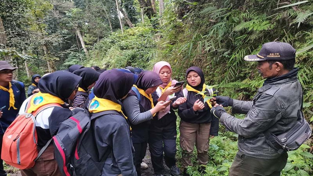 Kelompok pecinta alam Sakapala SMA Negeri 1 Karangkobar didampingi personel Perum Perhutani BKPH Karangkobar (kanan) melakukan inventarisasi tumbuhan obat di kawasan Gununglawe, Kabupaten Banjarnegara, Minggu (30/10/2022). ANTARA/HO-Sakapala