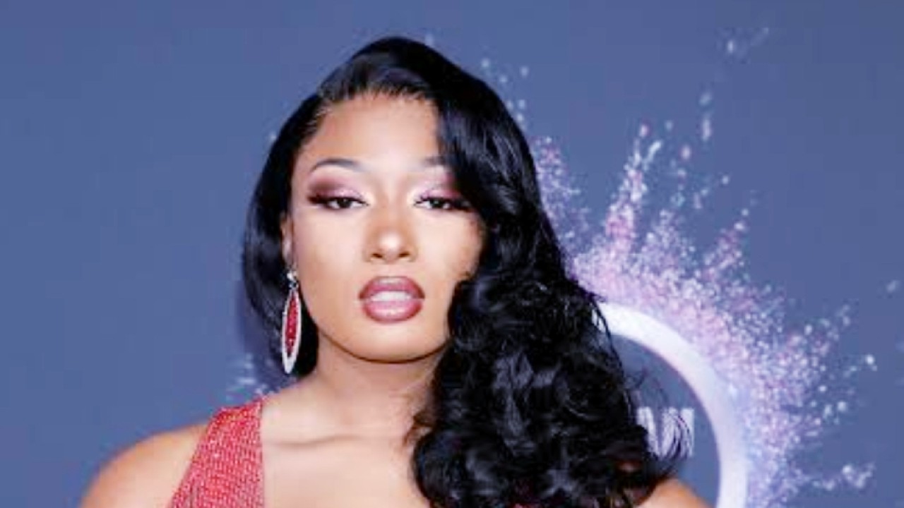 Megan Thee Stallion/net