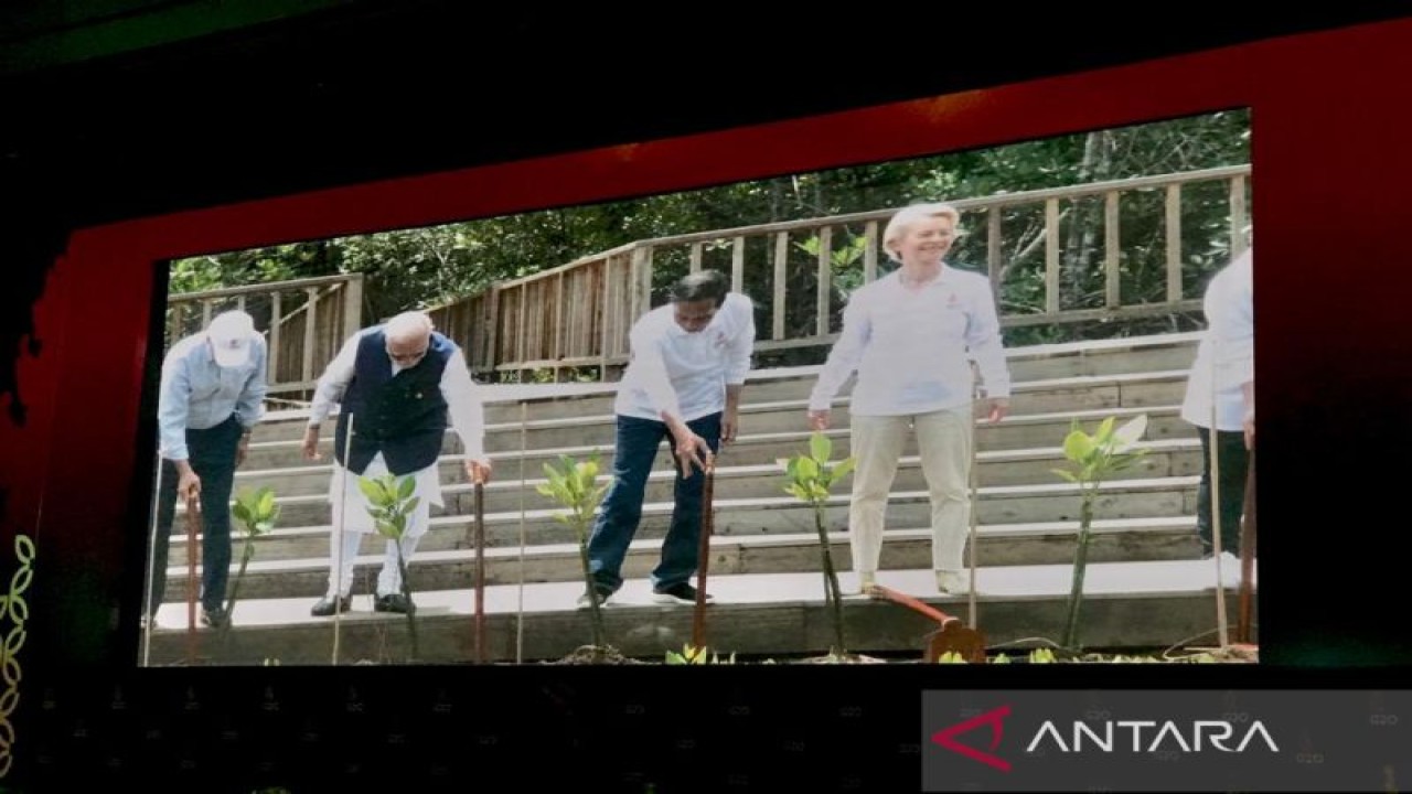 Presiden Republik Indonesia Joko Widodo (tiga kiri) sebagaimana disiarkan di layar Media Center G20 memimpin aksi tanam bakau di Tahura Ngurah Rai, Denpasar, Bali, Rabu (16/11/2022) yang merupakan side event KTT G20 di Bali. ANTARA/Genta Tenri Mawangi