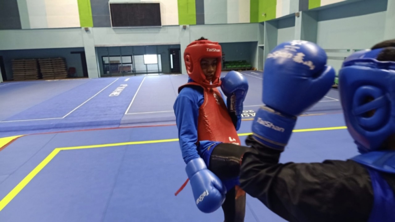 Atlet sanda, Denis Darmawan