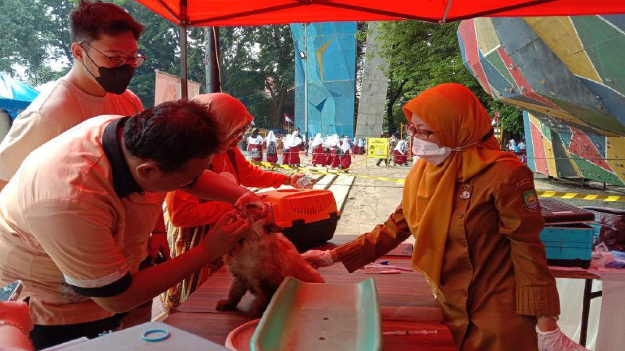 Dinas Ketahanan Pangan (DKP) Kota Tangerang, Provinsi Banten membuka layanan vaksin rabies gratis di Festival Sipon Cisadane 2022 bagi masyarakat Kota Tangerang, Senin (38/11/2022). FOTO ANTARA/HO-DKP Kota Tangerang