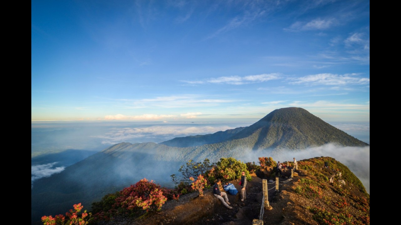 Gunung Gede. (Net)