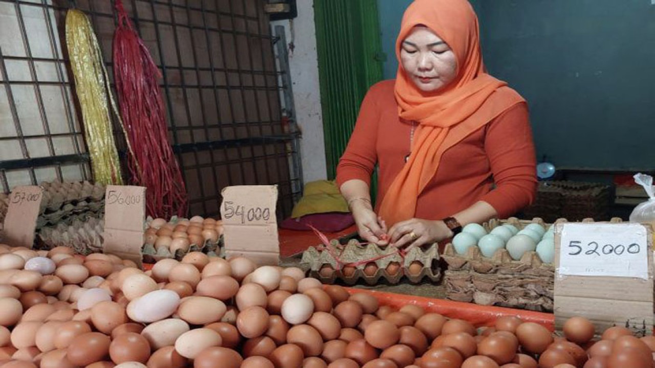 Harga daging ayam potong di pasar Bengkulu. ANTARA/Anggi Mayasari
