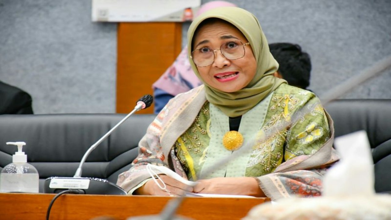 Wakil Ketua Komisi X DPR RI Hetifah Sjaifudian (Ist/HO dokumentasi pribadi)
