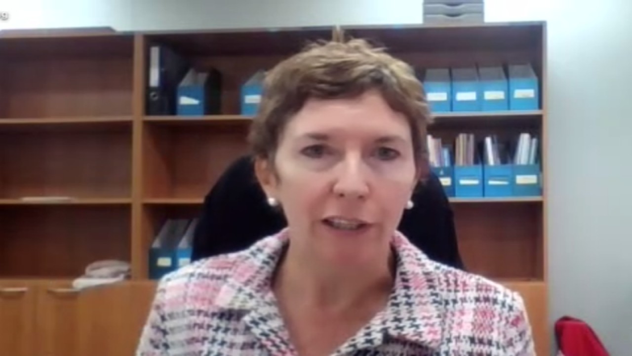 Tangkapan layar ekonom senior ILO Sara Elder dalam konferensi pers daring mengenai laporan  "Asia-Pacific Employment and Social Outlook 2022", Senin (28/11/2022). (ANTARA/Yashinta Difa)