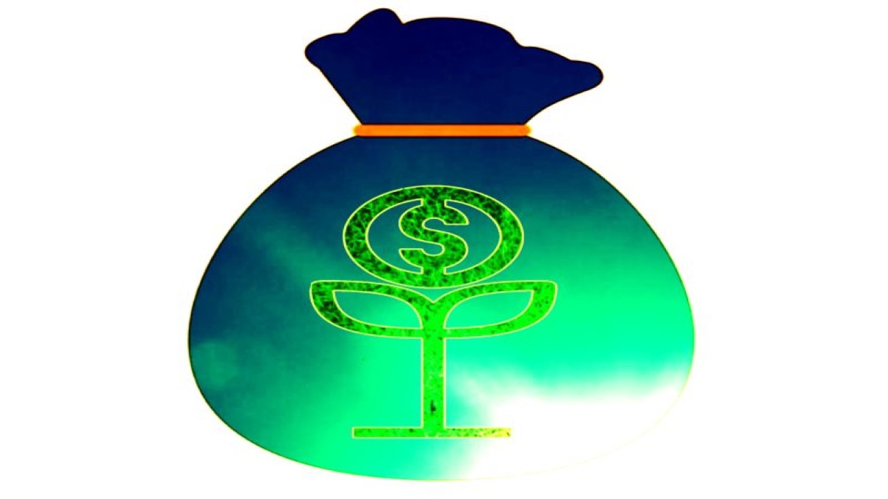 Ilusterasi investasi hijau (ANTARA/ddn)