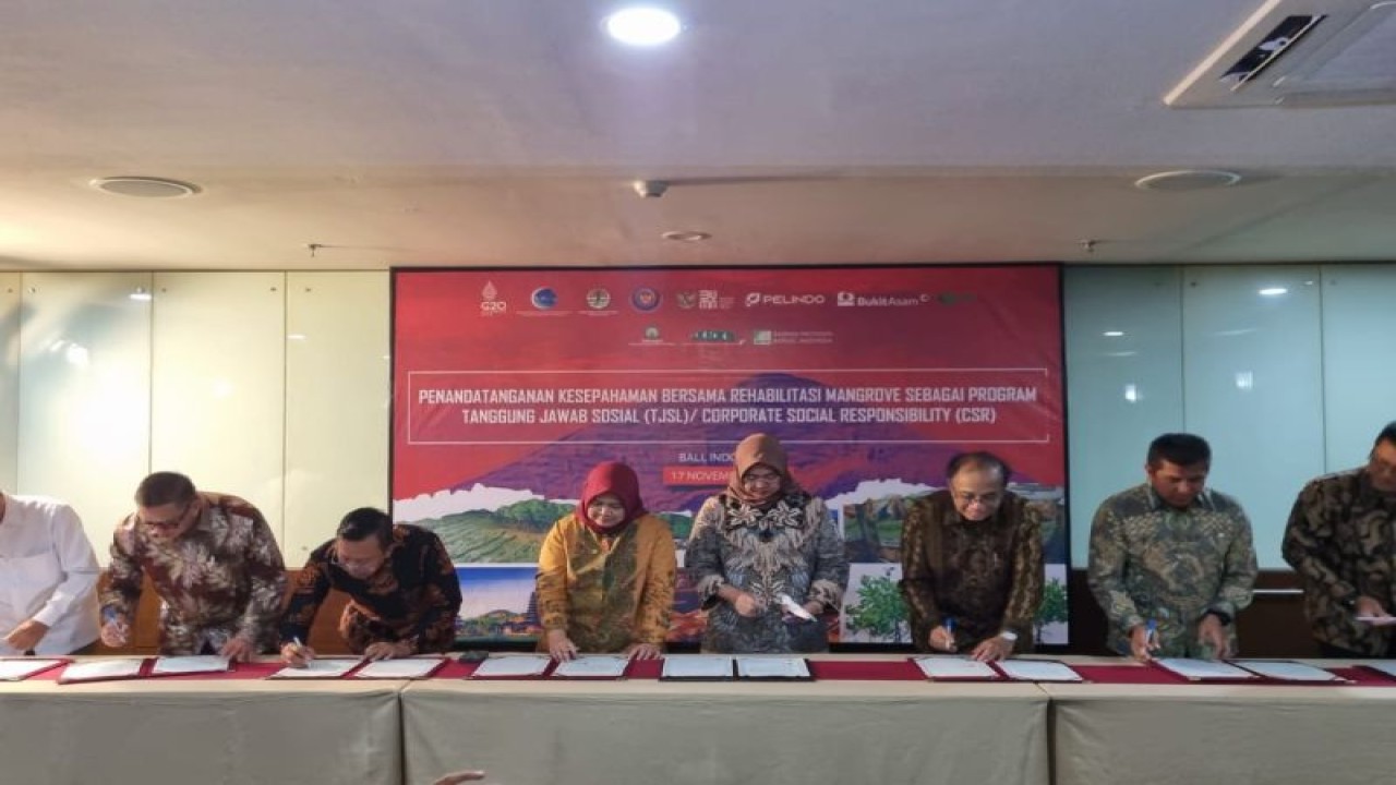 Kemenko Marves bersama PT Trimegah Bangun Persada (PT TBP) rehabilitasi mangrove sebagai program tanggung jawab sosial dan lingkungan (TJSL)/Corporate Social Responsibility (CSR) di Malut. ANTARA/Abdul Fatah