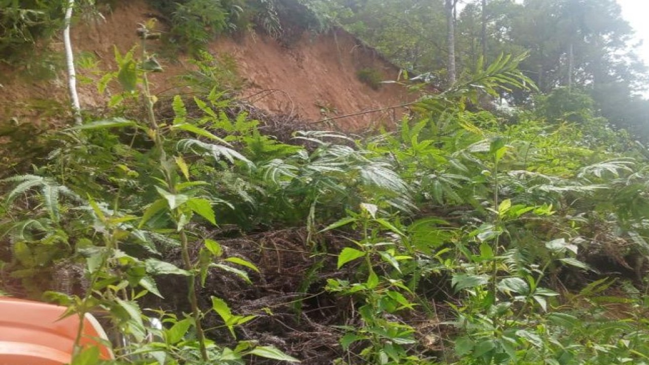 Lokasi longsor yang menutupi ruas jalan di wilayah Kabupaten Lebong beberapa waktu lalu. ANTARA/Anggi Mayasari