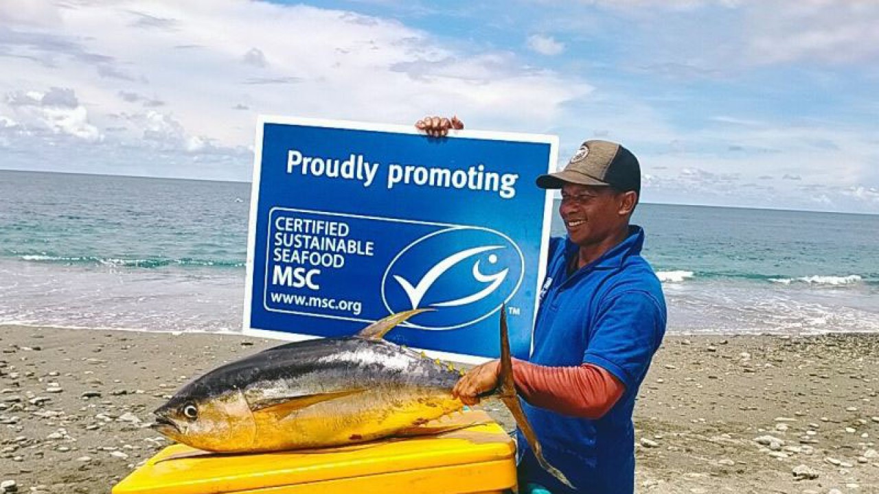 Nelayan kecil penangkap ikan tuna sirip kuning (yellowfin tuna) di Desa Waepure, Kecamatan Air Buaya, Kabupaten Buru, Provinsi Maluku Umar Papalia, Sabtu (30/10/2021) sedang menunjukkan sertifikasi ekolabel dari Marine Stewardship Council (MSC). (FOTO ANTARA/HO-MSC Indonesia/Andi J)