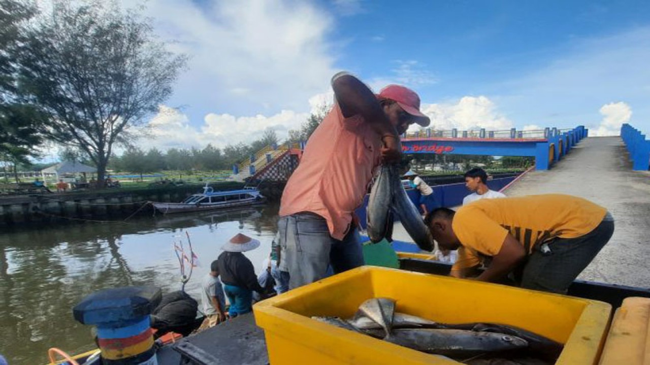 Nelayan memasukkan ikan hasil tangkapan ke dalam kotak di Muara Gandoriah, Kota Pariaman, Sumbar. (ANTARA/Aadiaat M.S)