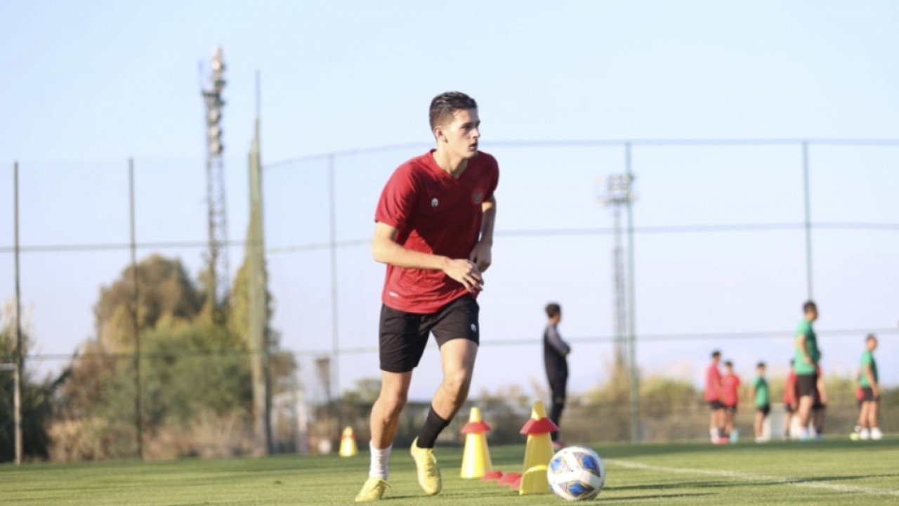 Pemain naturalisasi Indonesia