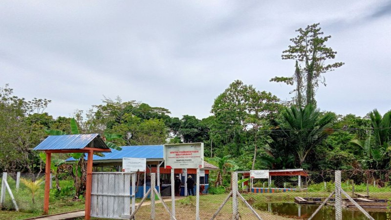 Pertamina RU VII Kasim dalam program CSR menyediakan tempat untuk masyarakat Kampung Klayas bekerja mengolah sagu untuk memenuhi kebutuhan hidup. (Antara/ Ernes Broning Kakisina)