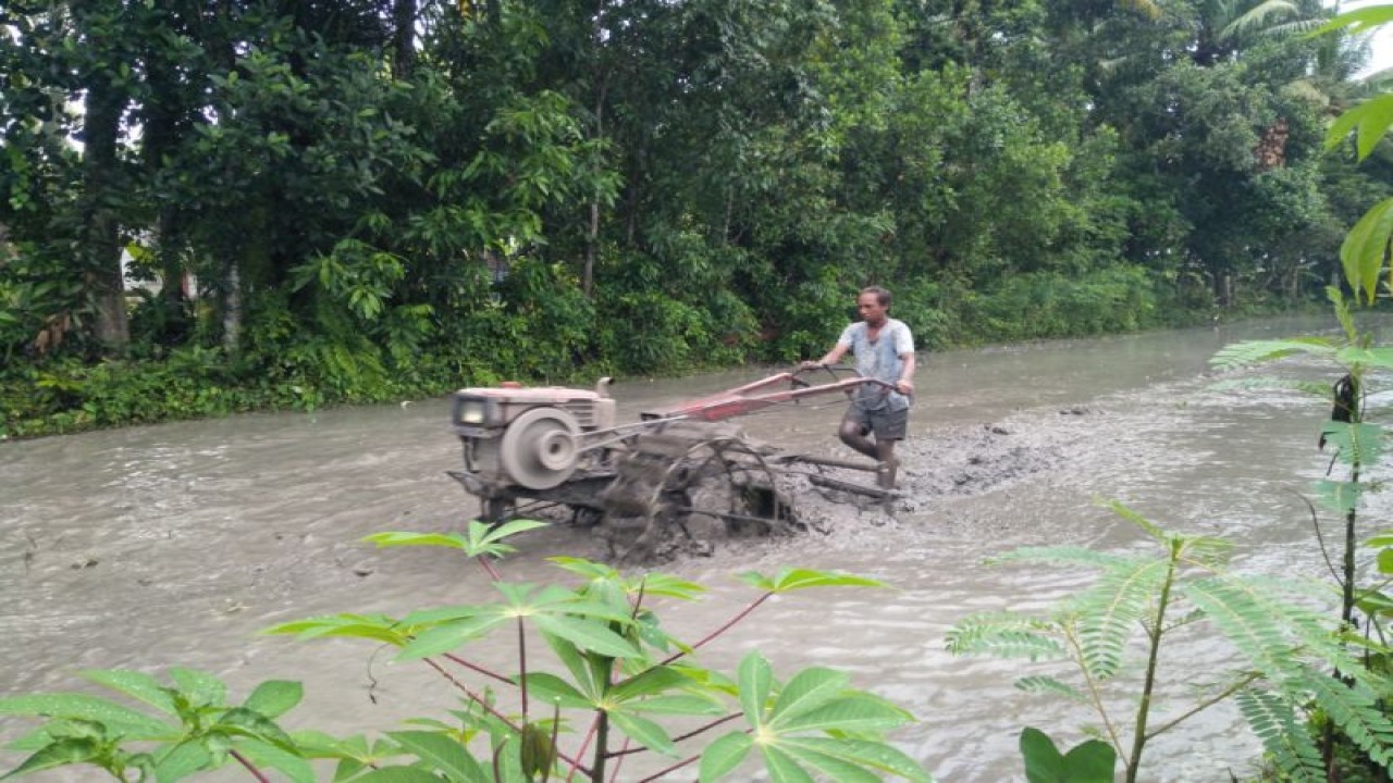 Petani saat melakukan pengolahan sawan menggunakan hand traktor pada musim tanam 2022/2023 (ANTARA/Akhyar)