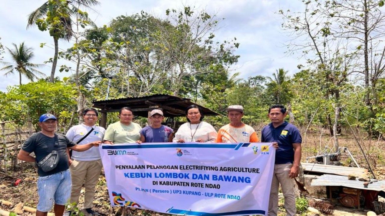 Petugas PLN UIW NTT bersama para petani di Desa Lekona, Kabupaten Rote Ndao, berpose bersama dalam kegiatan penyalaan pelanggan electrifying agriculture kebun lombok dan bawang. (ANTARA/HO-Humas PLN UIW NTT)
