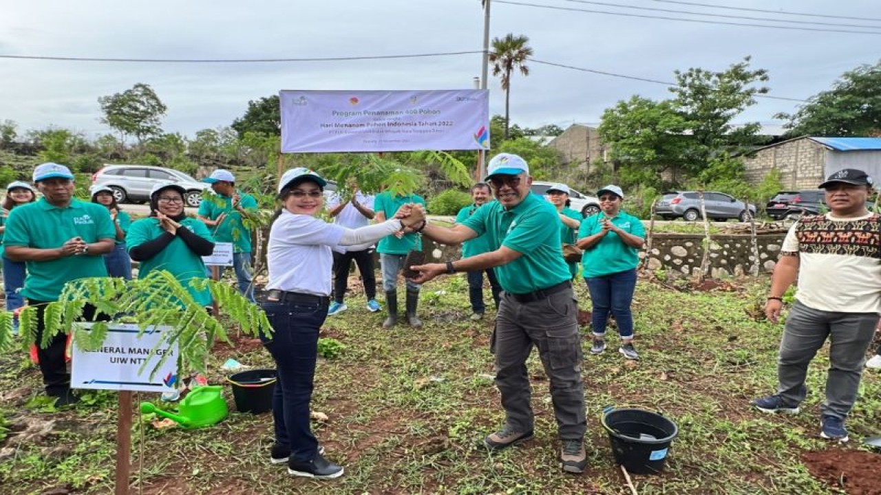 General Manager PLN UIW NTT Fintje Lumembang (kiri) bersama Kepala Dinas Lingkungan Hidup dan Kehutanan Provinsi NTT Ondy Christian Siagian beserta jajaran berpose bersama dalam kegiatan penanaman 400 bibit pohon flamboyan di Desa Nitneo, Kabupaten Kupang, Senin (28/11/2022). (ANTARA/HO-Humas PLN UIW NTT)