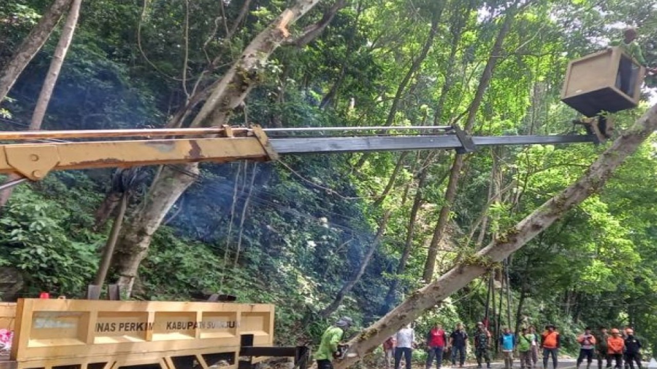 Petugas gabungan saat melakukan pemangkasan pohon di sekitar Samudra Beach Hotel, Kecamatan Cikakak, Kabupaten Sukabumi, Jabar pada Selasa, (22/11). Antara/Aditya Rohman