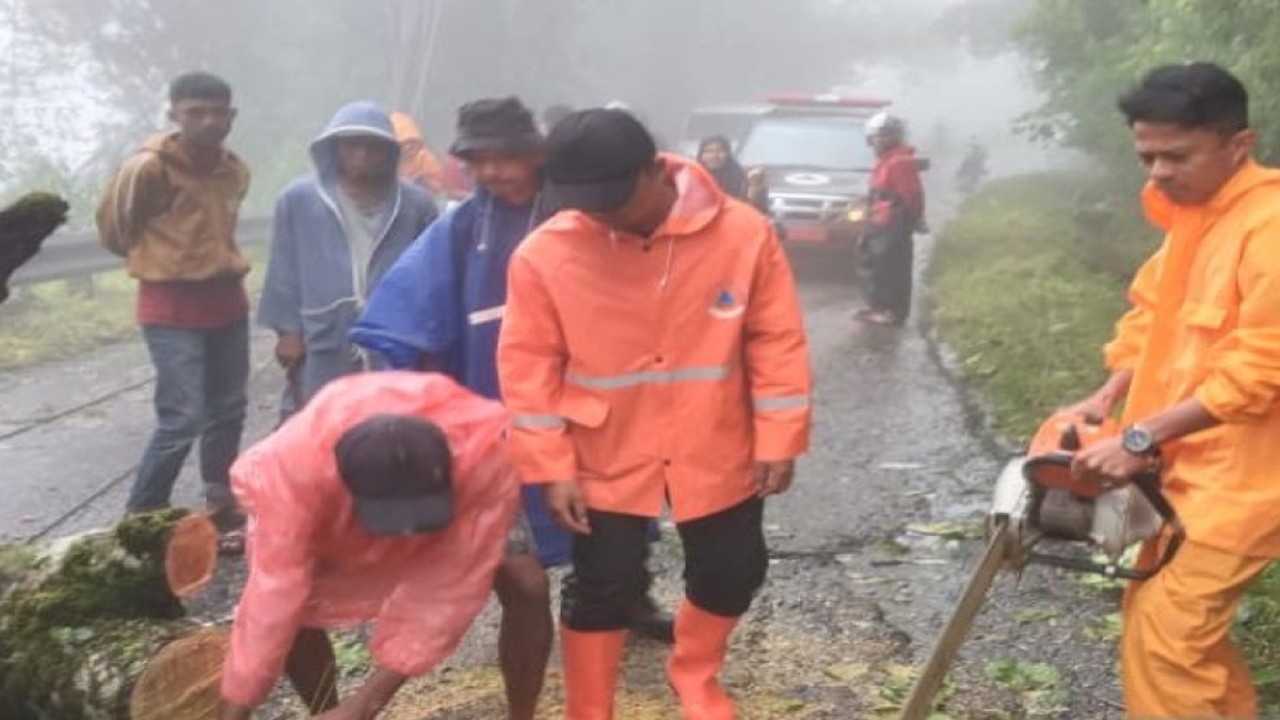Petugas BPBD Agam mengevakuasi pohon tumbang di kawasan Kelok 44, Agam. (ANTARA/Alfatah)