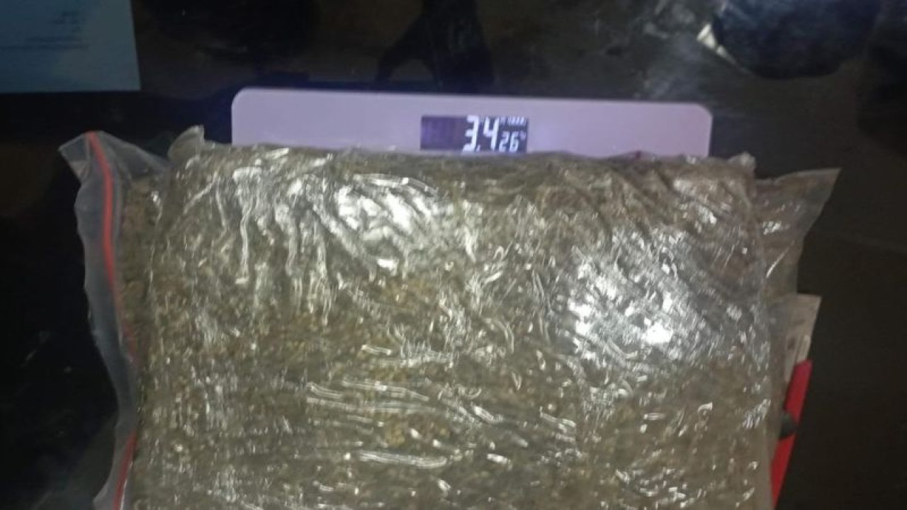 Barang bukti ganja seberat 3,4 kilogram yang diamankan pihak Polres Sigi dari pelaku inisial F di Kabupaten Sigi, Provinsi Sulawesi Tengah, Minggu (27/11/2022). ANTARA/HO-HMS Polres Sigi.
