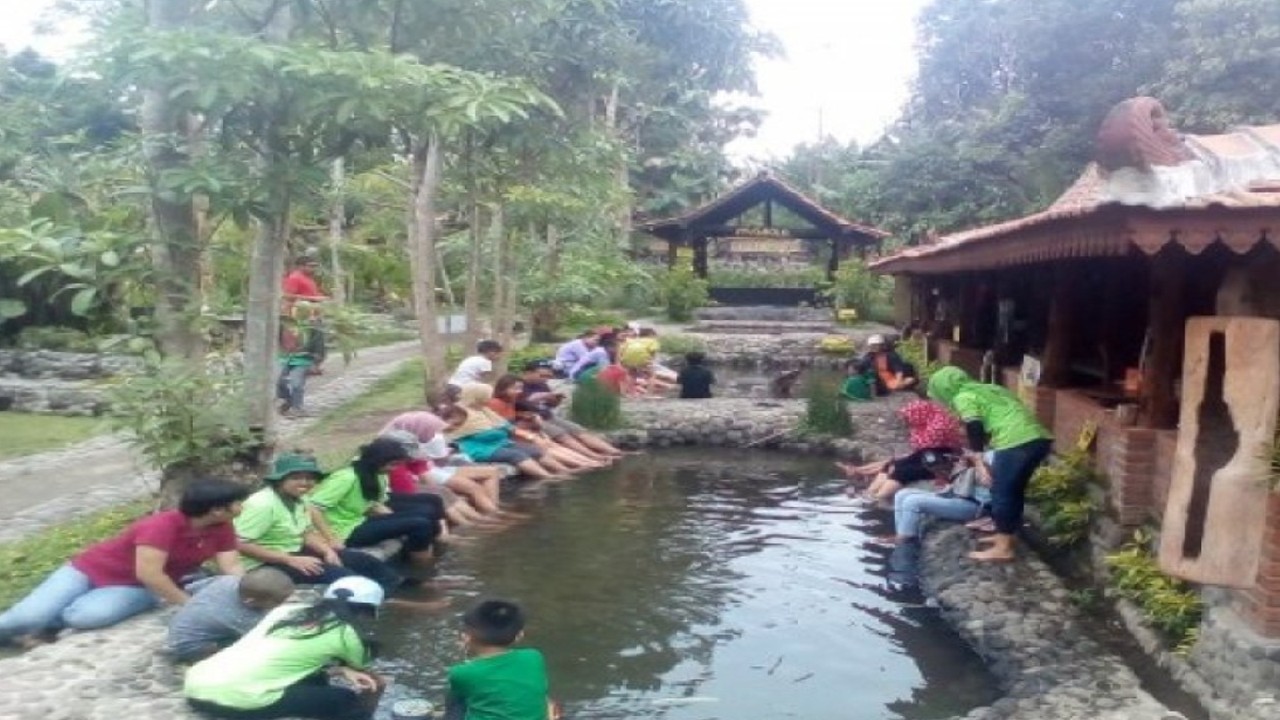 Sejumlah pengunjung menikmati wisata pertanian modern Kampung Flory di Tridadi, Kabupaten Sleman, Yogyakarta. (Foto Antara/Victorianus Sat Pranyoto) (antara)