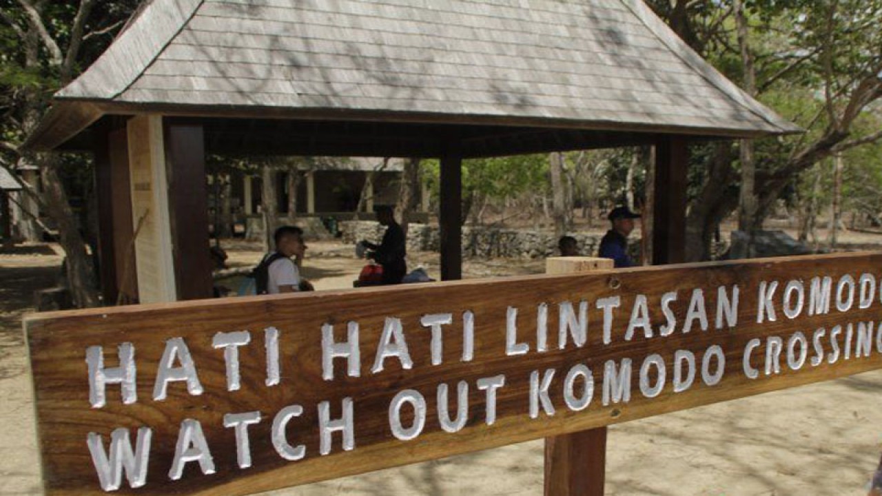 Seorang wisatawan saat berwisata di Pulau Komodo, Taman Nasional Komodo, Kabupaten Manggarai Barat, NTT. (ANTARA/Kornelis Kaha)