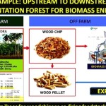 Tangkapan layar - presentasi biomassa kayu untuk mendukung transisi energi baru terbarukan (Antara/HO/APHI)-1668595609