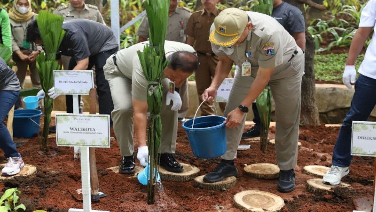 Wali Kota Jakarta Utara Ali Maulana Hakim ikut menanam pohon dalam kegiatan tanggung jawab sosial lingkungan perusahaan Badan Usaha Milik Negara PT Pelabuhan Indonesia atau Pelindo (Persero) di Kelapa Gading, Jakarta Utara, untuk memperingati Hari Menanam Pohon Indonesia pada Senin (28/11/2022). ANTARA/HO-Kominfotik Jakarta Utara