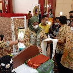 Anggota DPRD Kepri sekaligus Ketua TP PKK melihat produk batik yang dihasilkan pelaku IKM asal Kota Batam. (Ogen)-1670929265