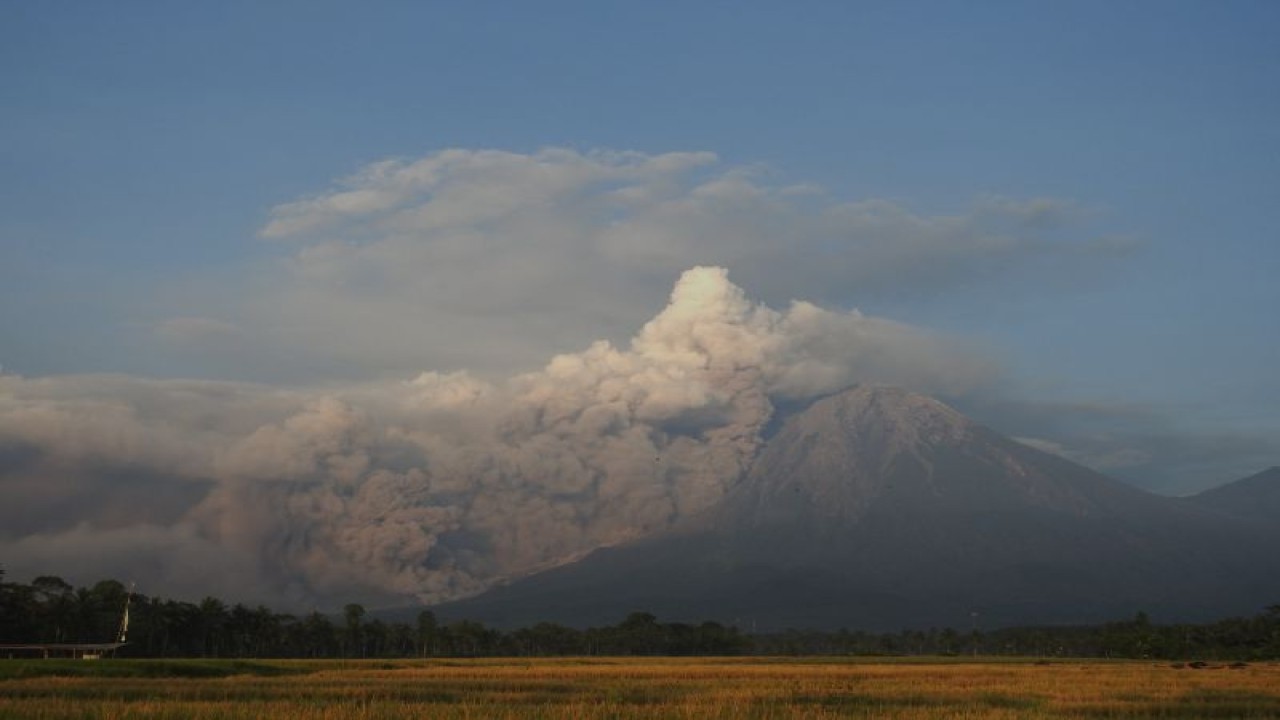 Luncuran Awan Panas Guguran (APG) Gunung Semeru terlihat dari Desa Sumberwuluh, Candipuro, Lumajang, Jawa Timur, Minggu (4/12/2022). Pusat Vulkanologi dan Mitigasi Bencana Geologi (PVMBG) menaikkan status Gunung api Semeru dari Siaga menjadi Awas atau dari Level III menjadi Level IV. ANTARA FOTO/Iwan/sen/YU (ANTARA FOTO/IWAN)