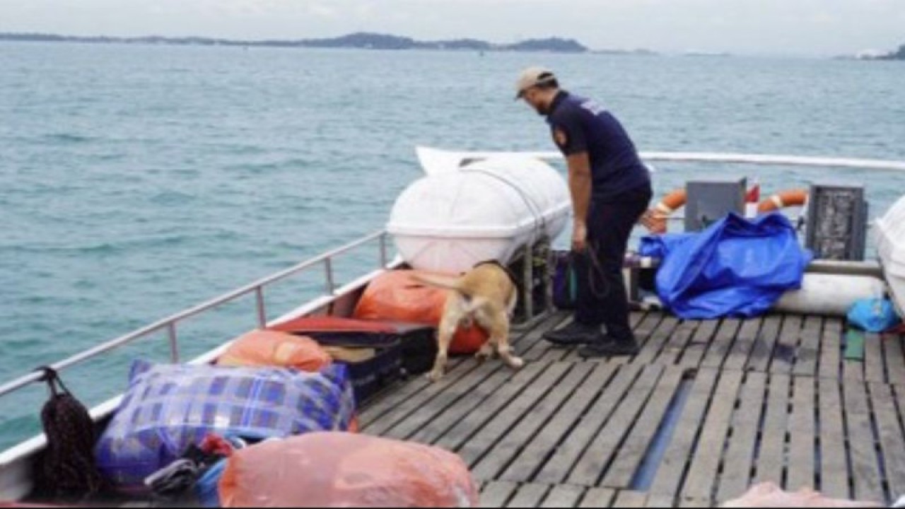 Bea Cukai melakukan proses pemeriksaan kapal dengan melibatkan Tim K-9 dengan anjing pelacak. ANTARA/HO-Humas Pajak Batam