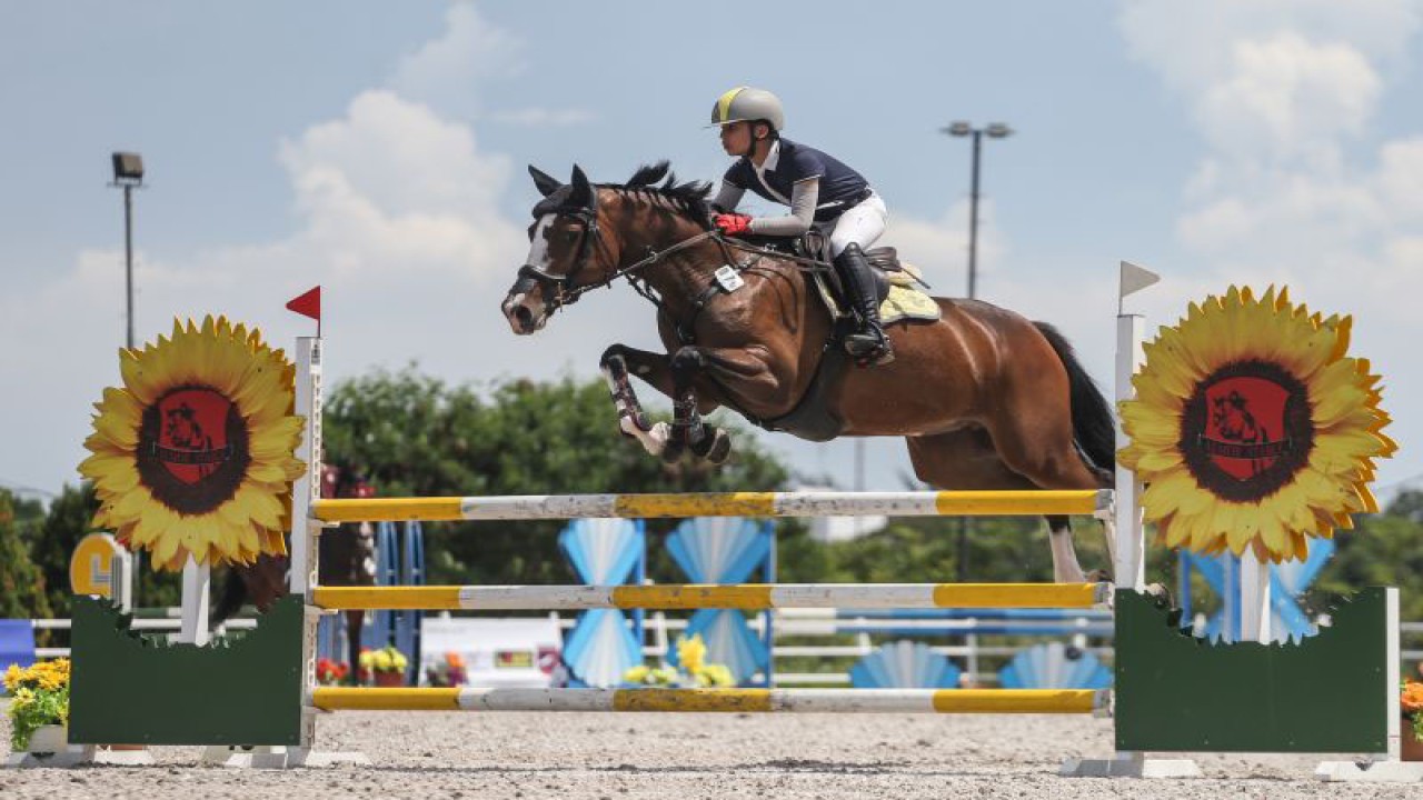 Foto arsip - Peserta melakukan aksi melompat palang rintang pada Indonesian Horse Lovers Festival di Equinara Horse Sports, Pulomas , Jakarta, Minggu (23/10/2022). Festival berkuda yang digelar oleh Komunitas Berkuda Indonesia Horse Lovers tersebut menampilkan katagori palang rintang dengan kelas 70cm, 90cm, 100cm, 110cm, 120cm dan 130cm yang bertujuan memperkenalkan olahraga berkuda ke masyarakat sekaligus untuk pembibitan atlet muda. ANTARA FOTO/Asprilla Dwi Adha/hp.