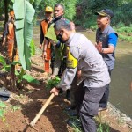 Bibit pohon-1671006688