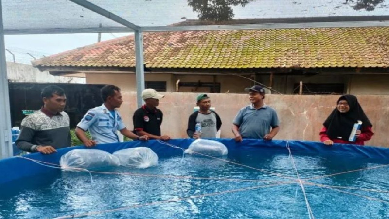 Narapidana Lembaga Pemasyarakatan (Lapas) Kelas IIA Kalianda mengolah budidaya ikan tawar menggunakan media kolam bioflok. Lampung Selatan, Senin, (12/12/2022). (ANTARA/HO)