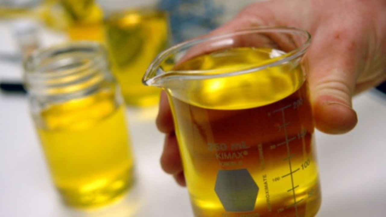 Ilustrasi.  BBM jenis bio Solar dicampur minyak sawit 35 persen berlaku efektif pada 1 Februari 2023. (Istimewa)