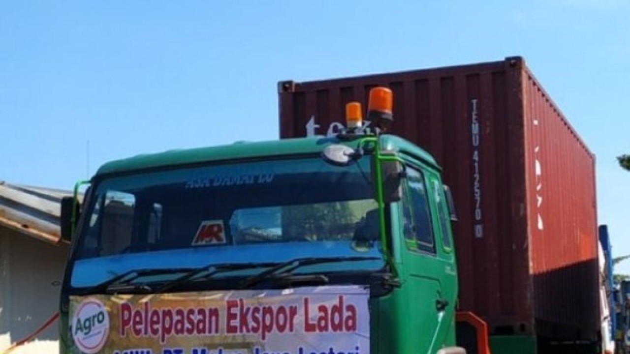 Ilustrasi, Balai Karantina Pertanian (BKP) Kelas II Pangkalpinang menyatakan pengusaha Provinsi Kepulauan Bangka Belitung selama 2022 mengekspor lada putih 1.843 ton ke 14 negara tujuan. ANTARA (Aprionis)