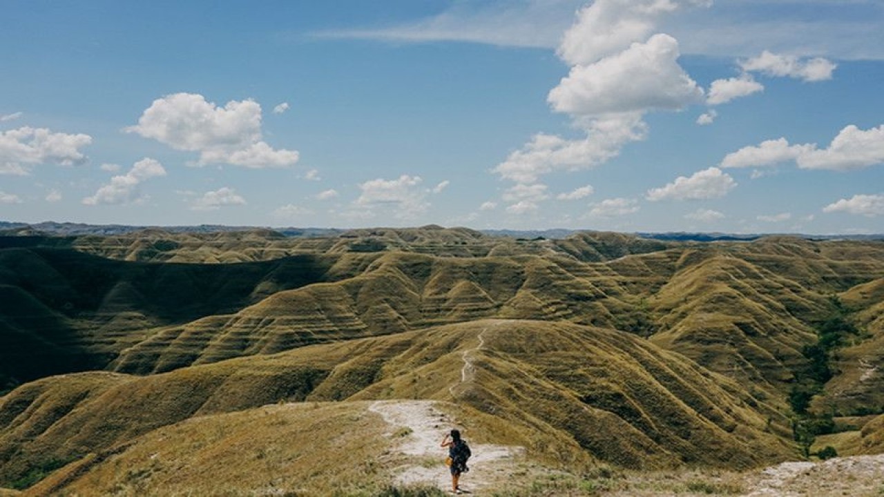 Bukit Tanarara, Sumba Timur (ANTARA/HO-Shutterstock)