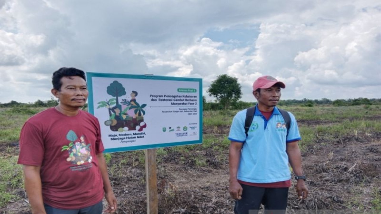 Masyarakat Peduli Api bersama CIFOR untuk pencegahan karhutla dan restorasi gambut pada kebun nanas di Kampung Penyengat, Kecamatan Sungai Apit, Kabupaten Siak. (ANTARA/HO-Bayu Agustari Adha)