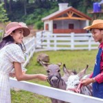 Dairyland-1672394111