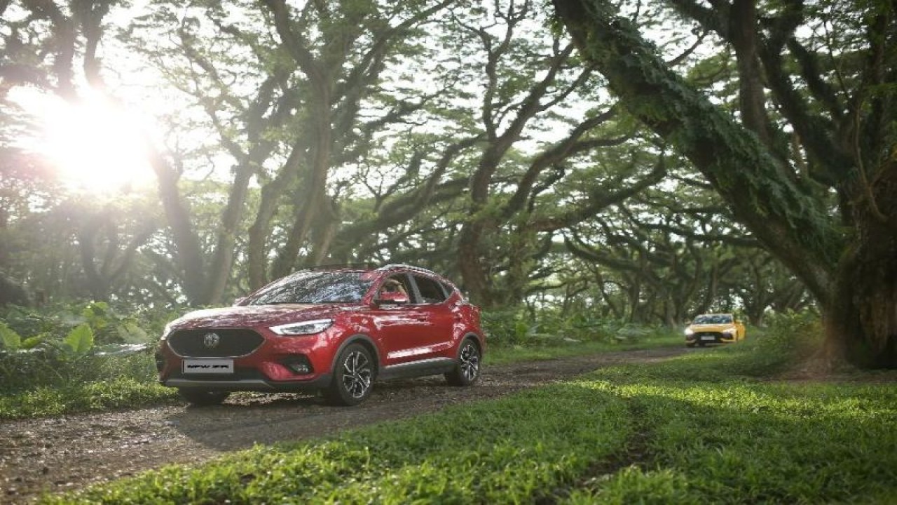 De Djawatan Benculuk, hutan lindung Milik Perhutani yang menjadi rumah bagi ratusan pohon trembesi di Banyuwangi. (ANTARA/HO-MG Motor Indonesia)