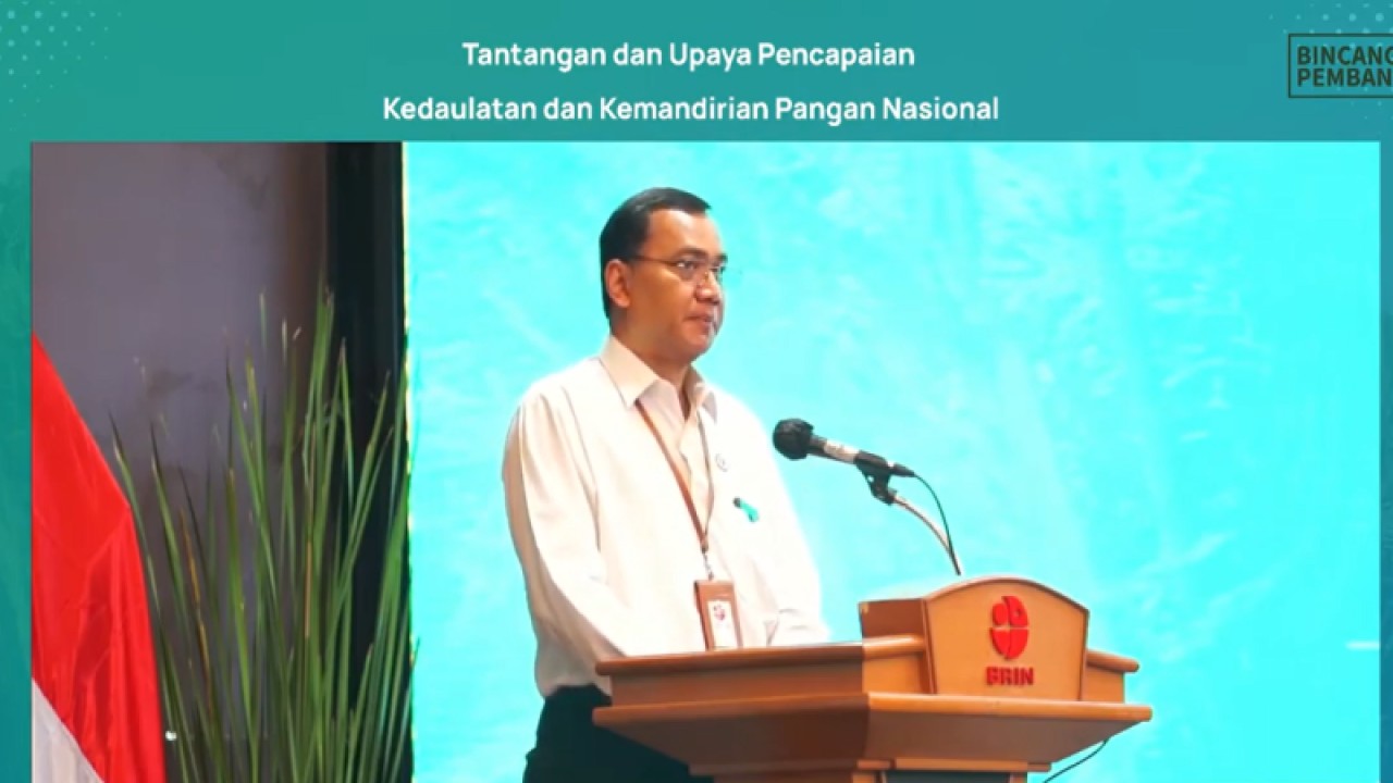 Deputi Bidang Kebijakan Pembangunan Badan Riset dan Inovasi Nasional (BRIN) Mego Pinandito. ANTARA/Martha Herlinawati Simanjuntak