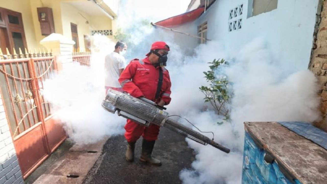 Petugas dari Dinas Kesehatan Sampang melakukan pengasapan guna memberantas sarang nyamuk dan mencegah penyebaran kasus demam berdarah dengue. ANTARA/HO-Kominfo Sampang