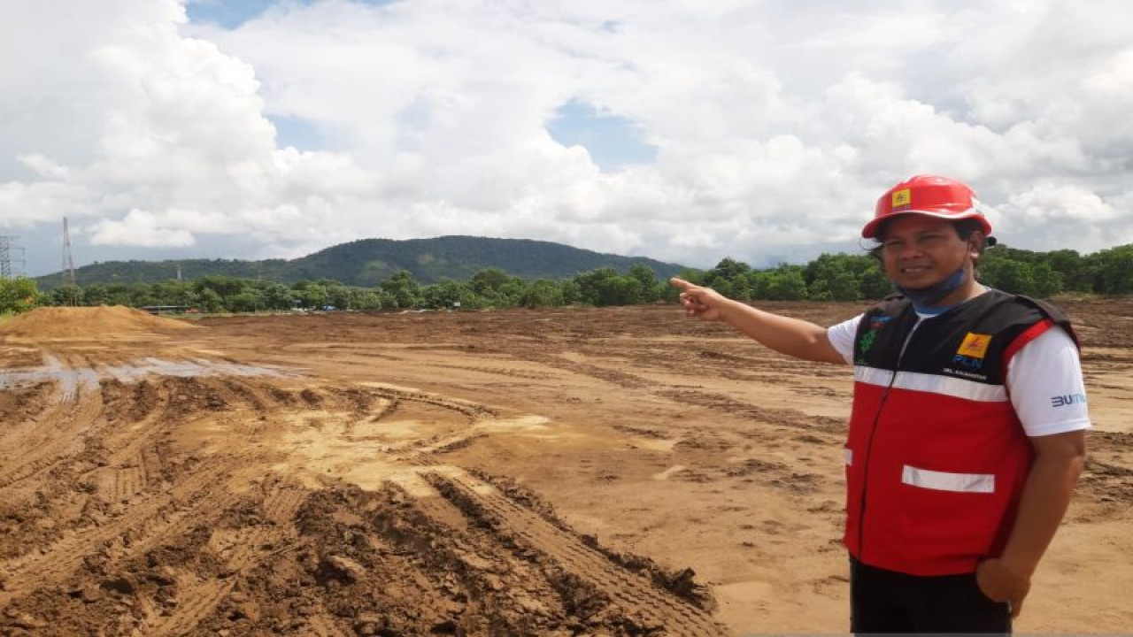 Hamparan Faba di lokasi PLTU Bengkayang (ANTARA/Dedi)